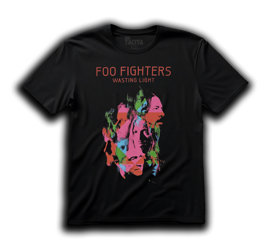 Polera FOO FIGHTERS - WASTING LIGHT