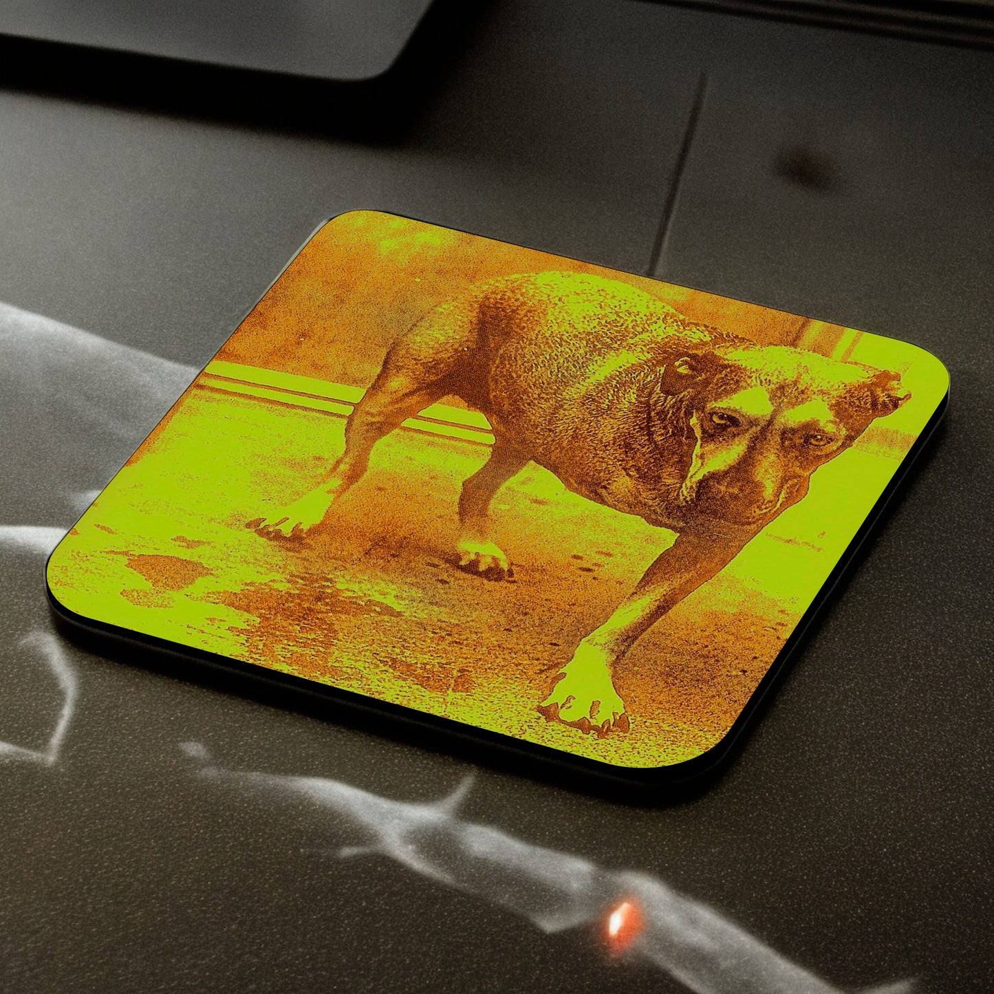 Set posavasos de Alice In Chains - Elige tus diseños!